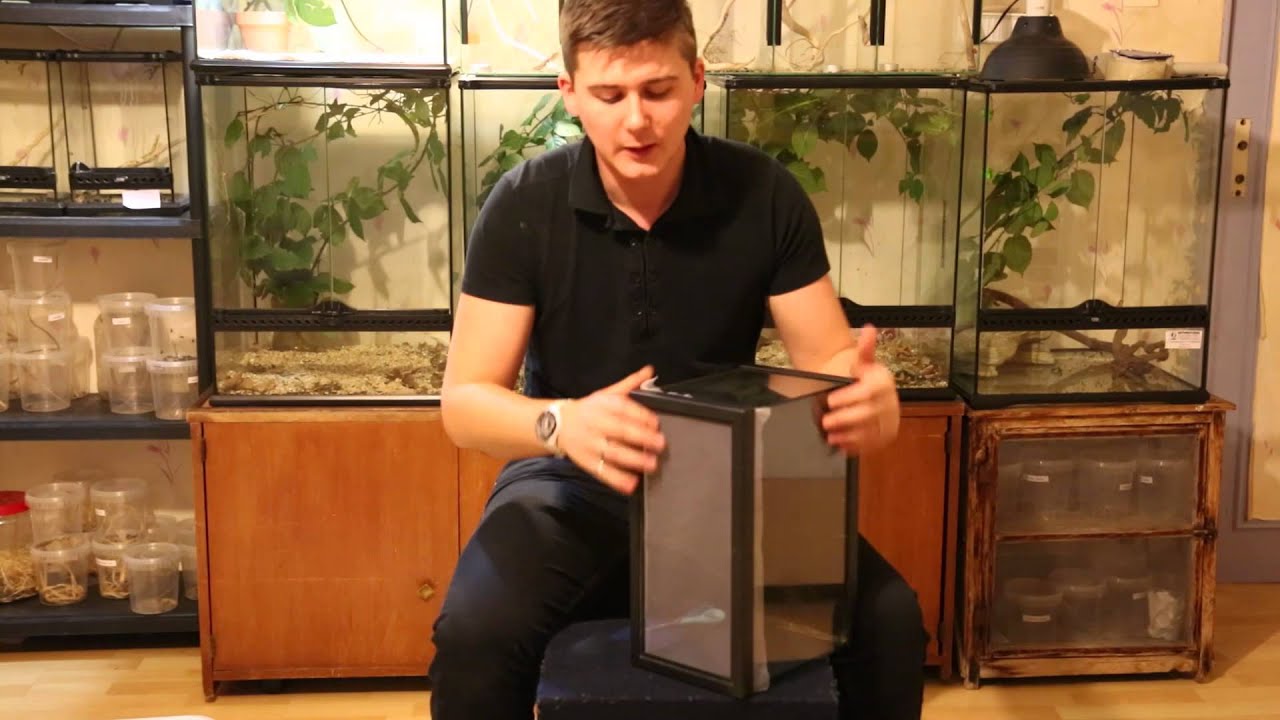 Un terrarium pour moins de 6e?...c'est possible?
