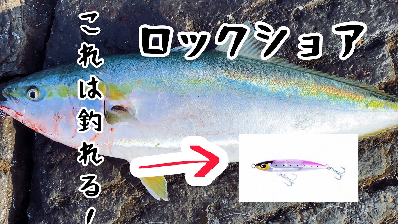 青物このプラグがすげー釣れるかもロックショア