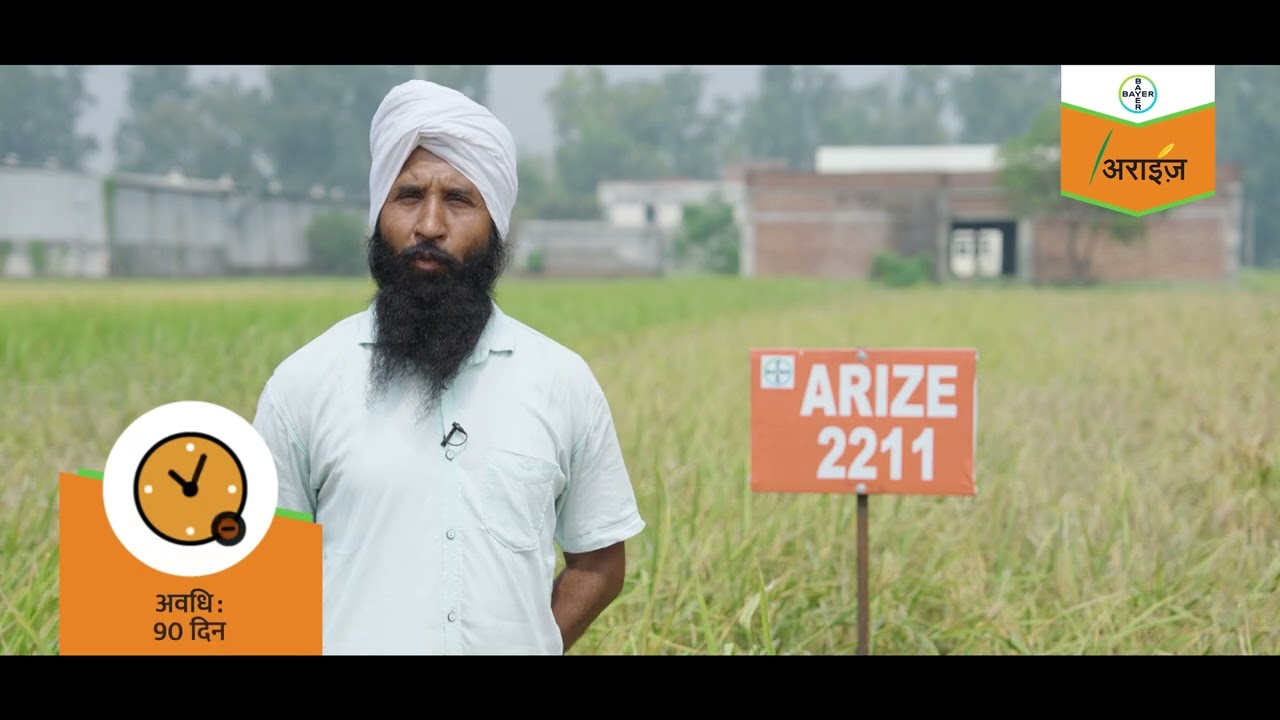 Best Paddy Seed: Farmer Balkar Singh's Success with Arize 2211 Rice Variety 🌾 (Hindi) | Bayer
