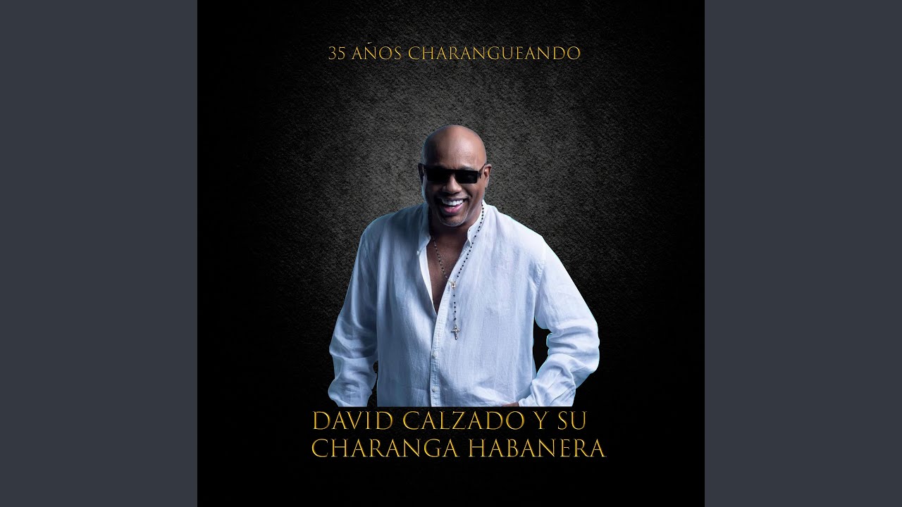 Los Besos Que Te Di