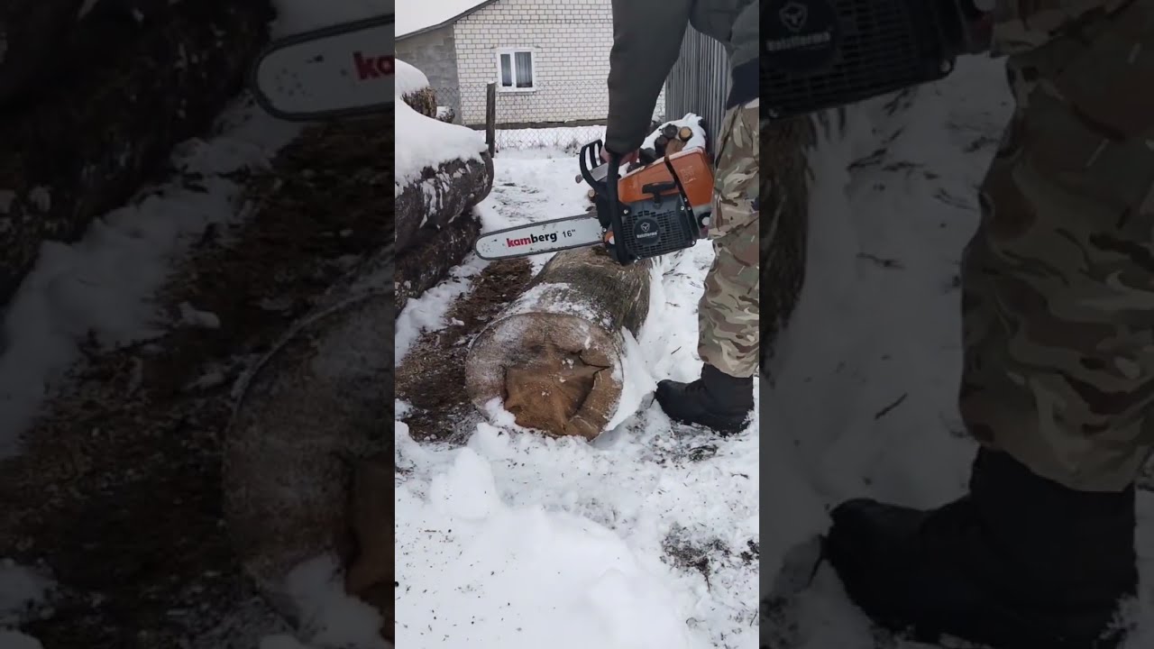 Бензопила Хользфформа/Holzfforma G 366 на обкатке