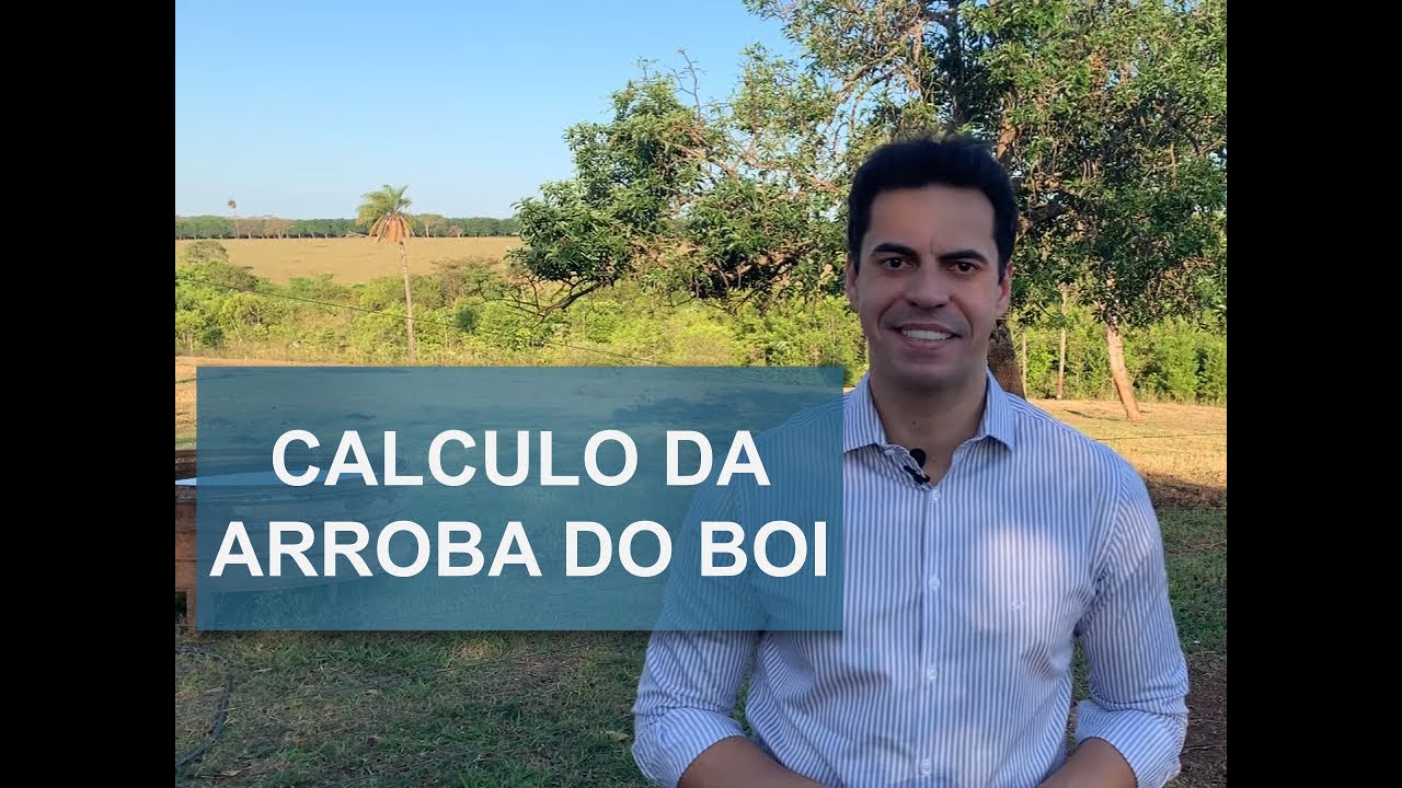 ARROBA DO BOI | APRENDA A FAZER O C&Aacute;LCULO