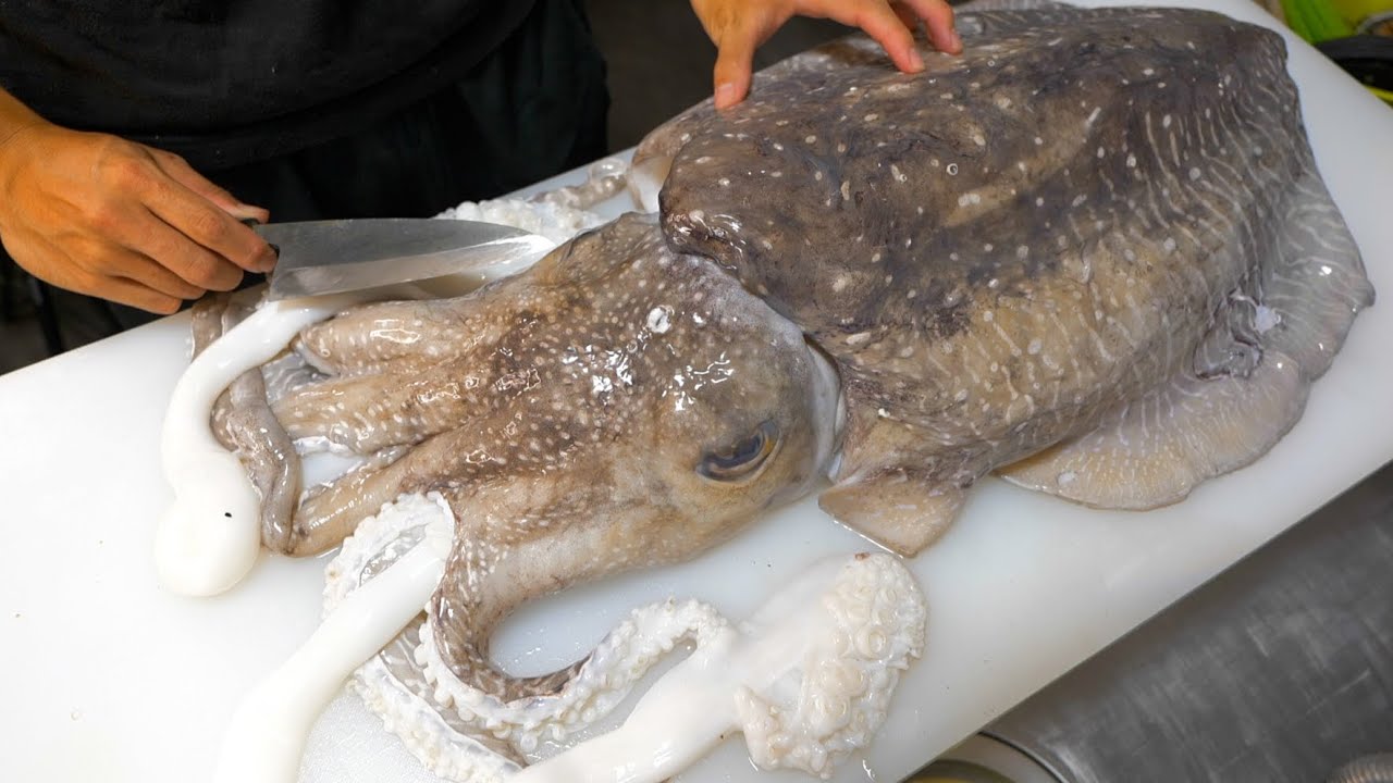 世界最大のコウイカの墨袋を破るととんでもないことに。。。