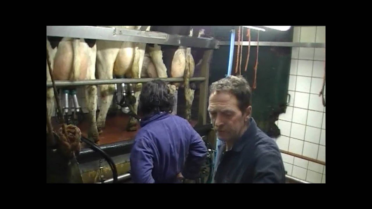 Margreet op de boerderij