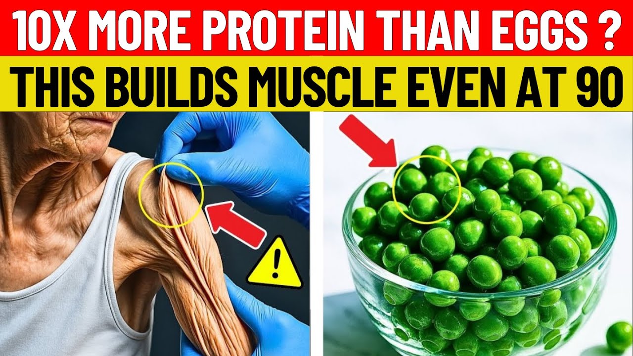 Over 60? THIS Vegetable Protein Builds Muscle Better Than Eggs! | Senior Health Tips