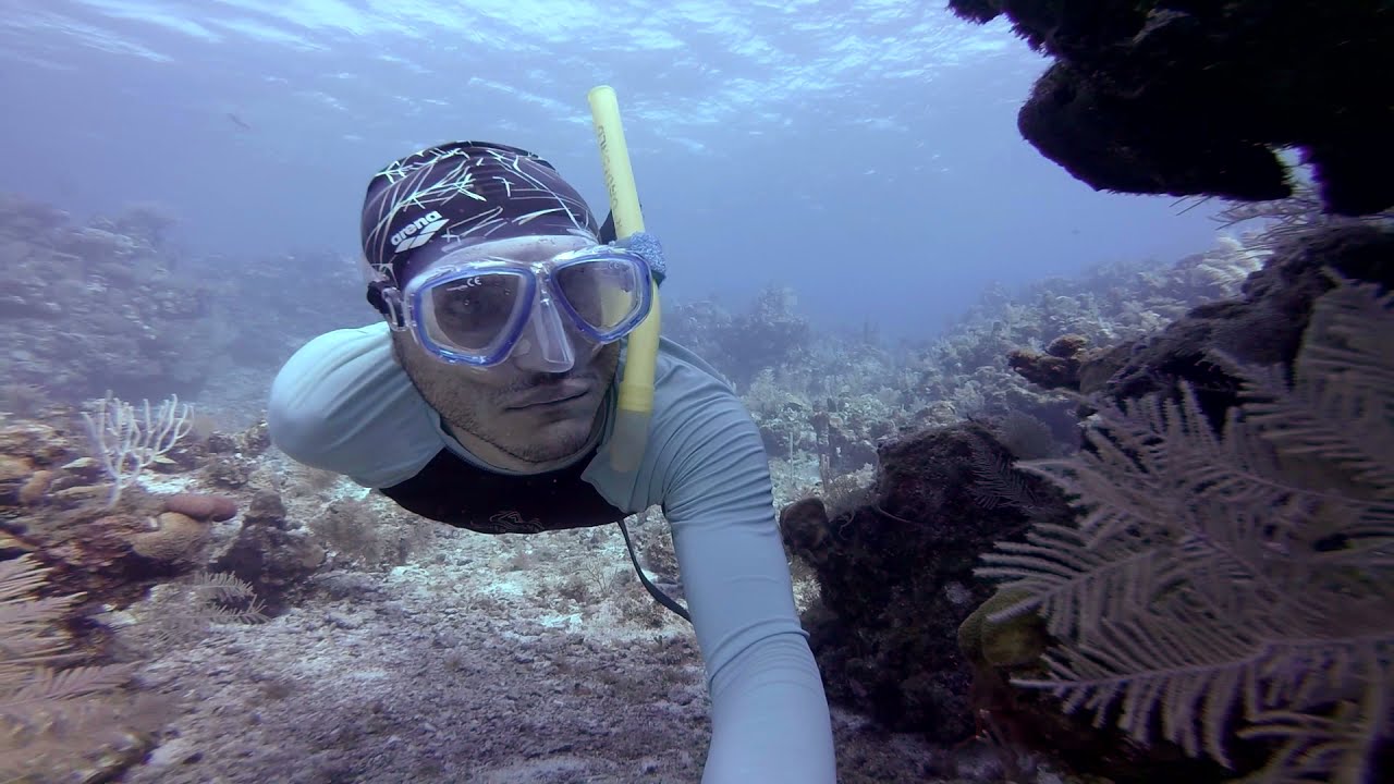 Reef One
