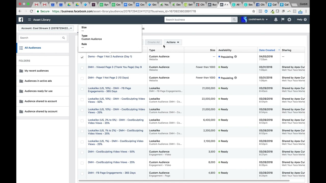 Harnessing Website Traffic: Mastering Facebook Retargeting Ads with Custom Audiences
