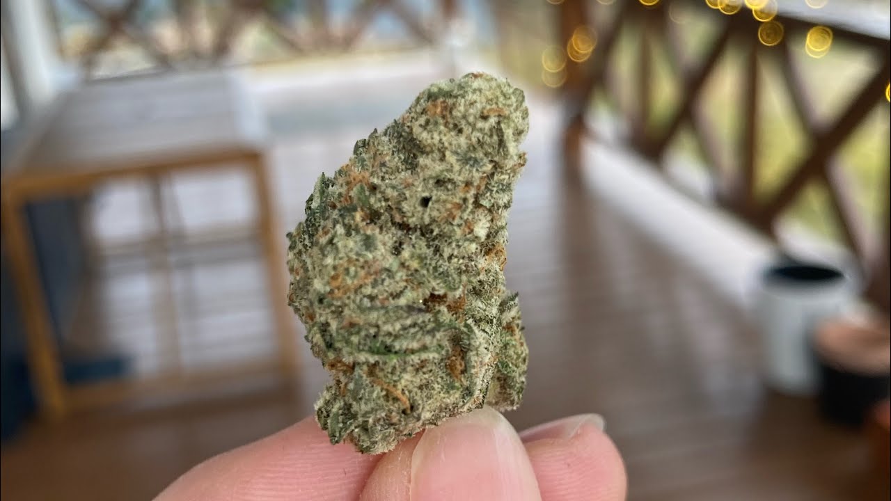 Cannabis flos Cantourage 25% THC - MAC Miracle Alien Cookies recenzja, opis odmiany