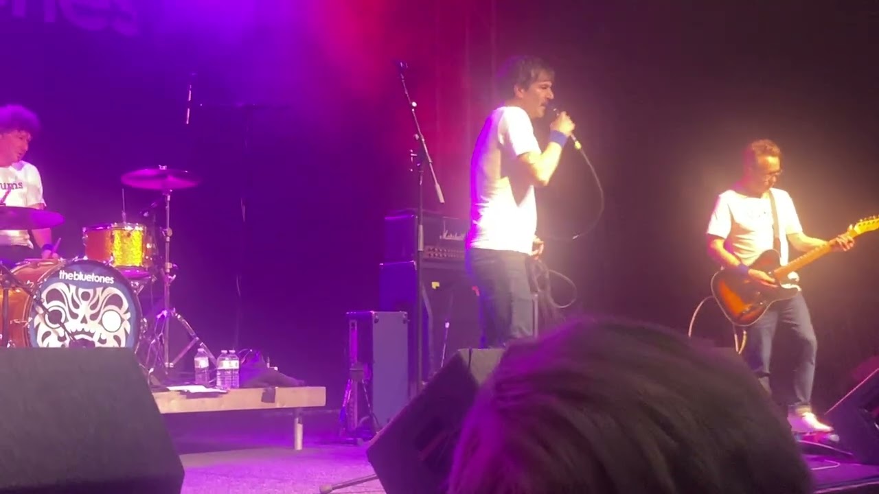 Bluetones - carnt be trusted 