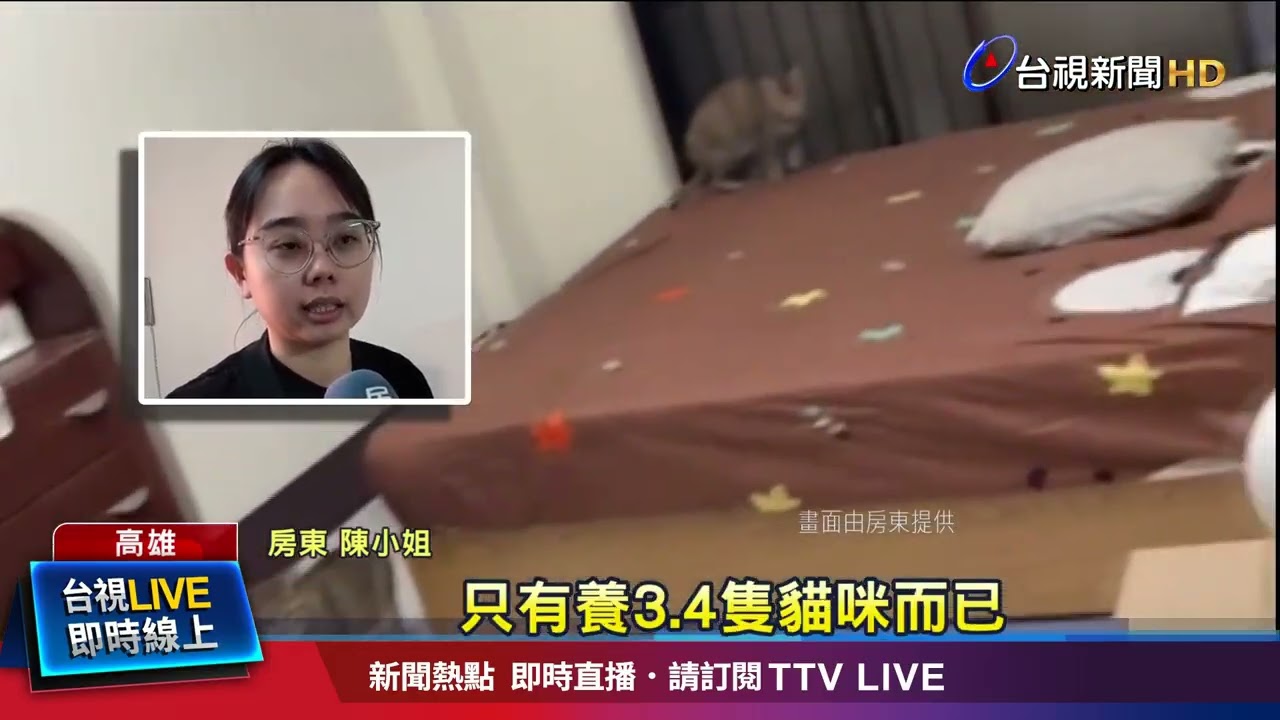 被控欠租閃人！房客養24貓留下14貓 現場髒亂
