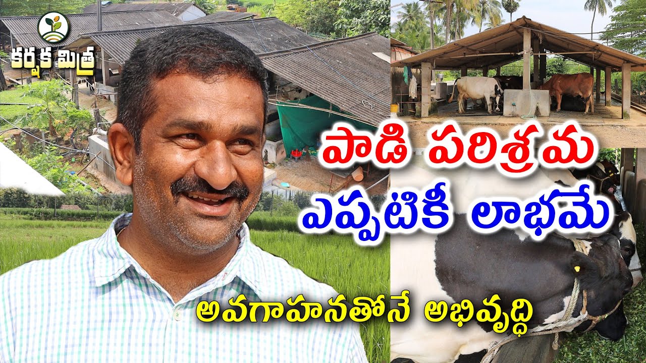 కష్ణపడితేనే పాడి పరిశ్రమలో లాభం || Success Story of Dairy Farming by School Master || Karshaka Mitra