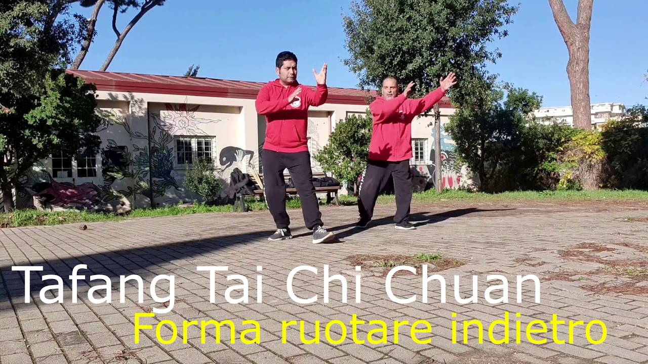 LEZIONE DI TAI CHI ::: Lezione Privata Tafang Tai Chi Chuan ::: Vizconde Kung Fu