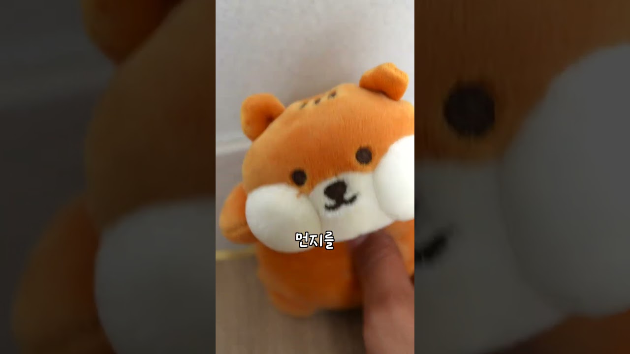 강아지 vs 로봇 #shorts