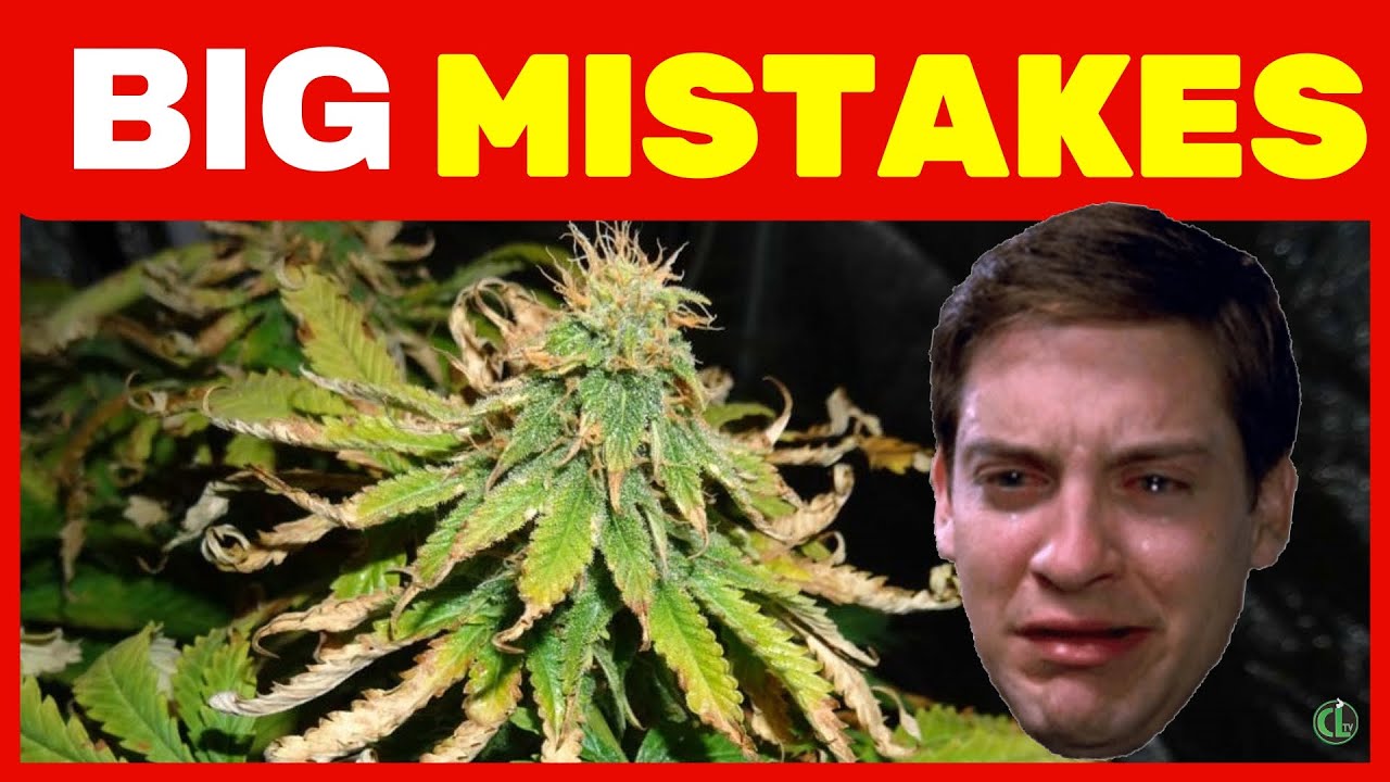 10 GROW MISTAKES That Can Ruin Your Plants