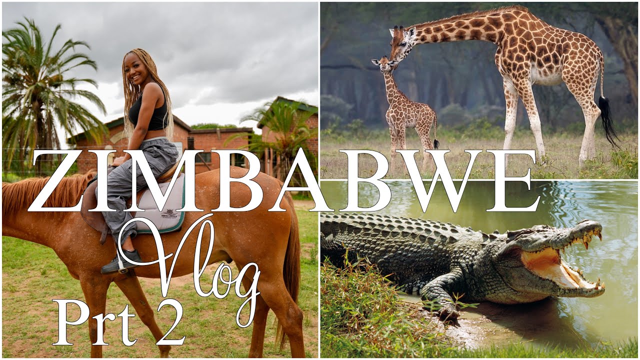 ZIMBABWE TRAVEL VLOG 2 | A DAY AT MUKUVISI WOODLANDS HARARE