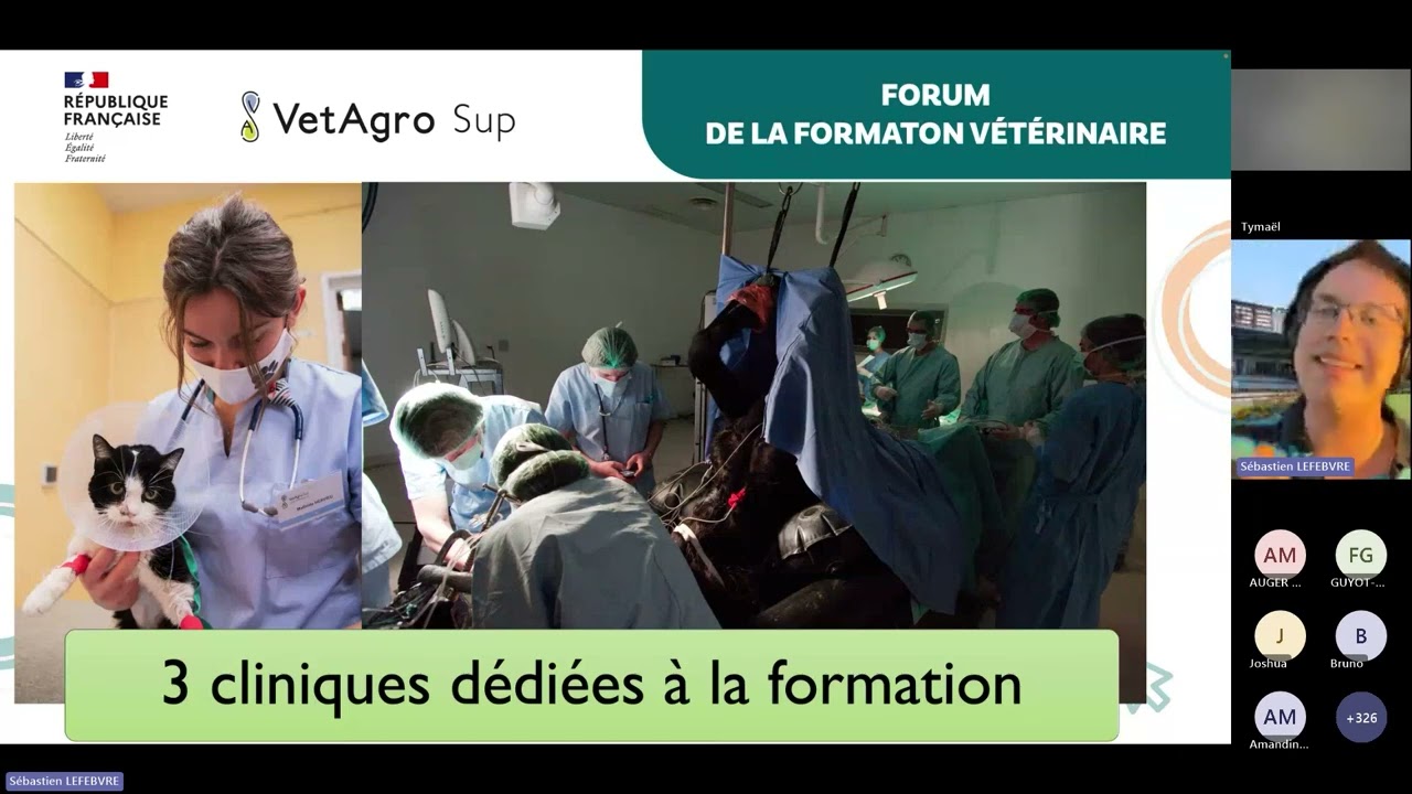 Forum de la formation vétérinaire 2024 : le cursus vétérinaire