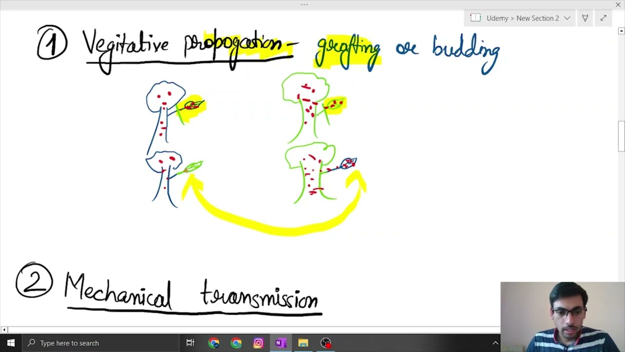 Propogation of plant viruses