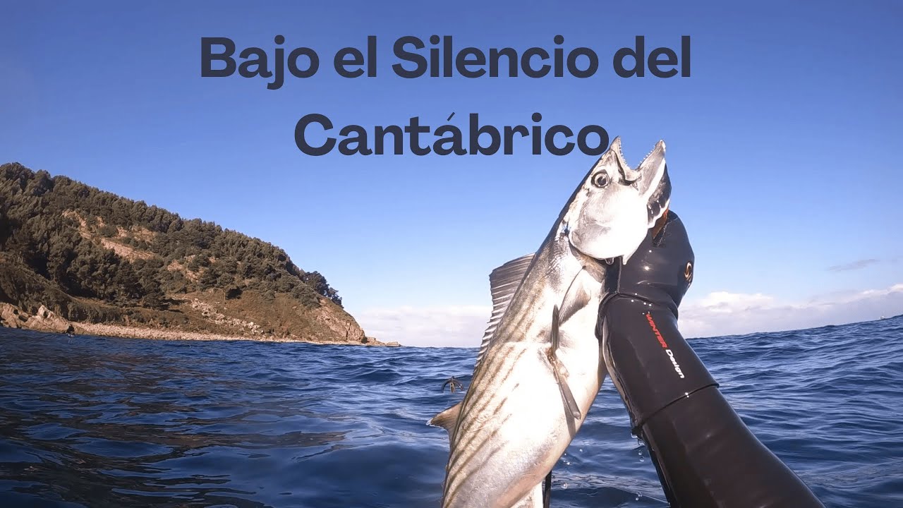 Pesca Submarina en el Cantábrico | Bajo el Silencio del Cantábrico