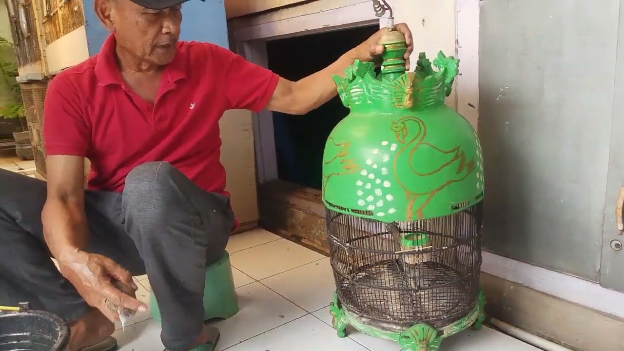 Agar burung perkutut jadi jinak, sehat, dan rajin manggung (bunyi),
