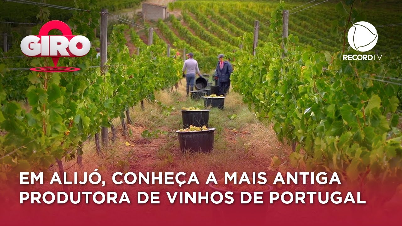 Fomos a Alijó conhecer uma antiga produtora de vinho do Porto e moscatel