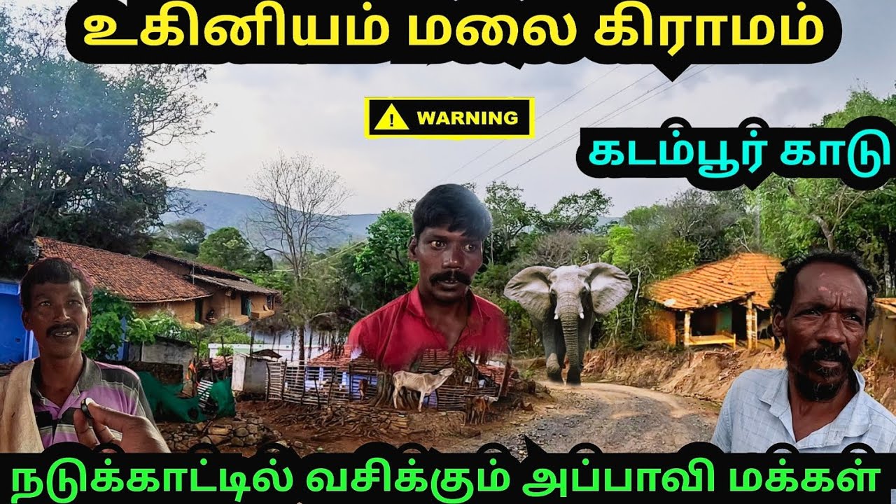 கடம்பூர் காட்டில் ஒரு கிராமம்|உகினியம் மலை கிராமம்|uginiyam tribal village