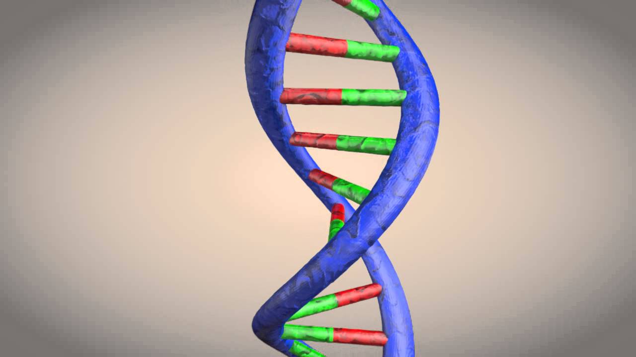 DNA double helix structure animation