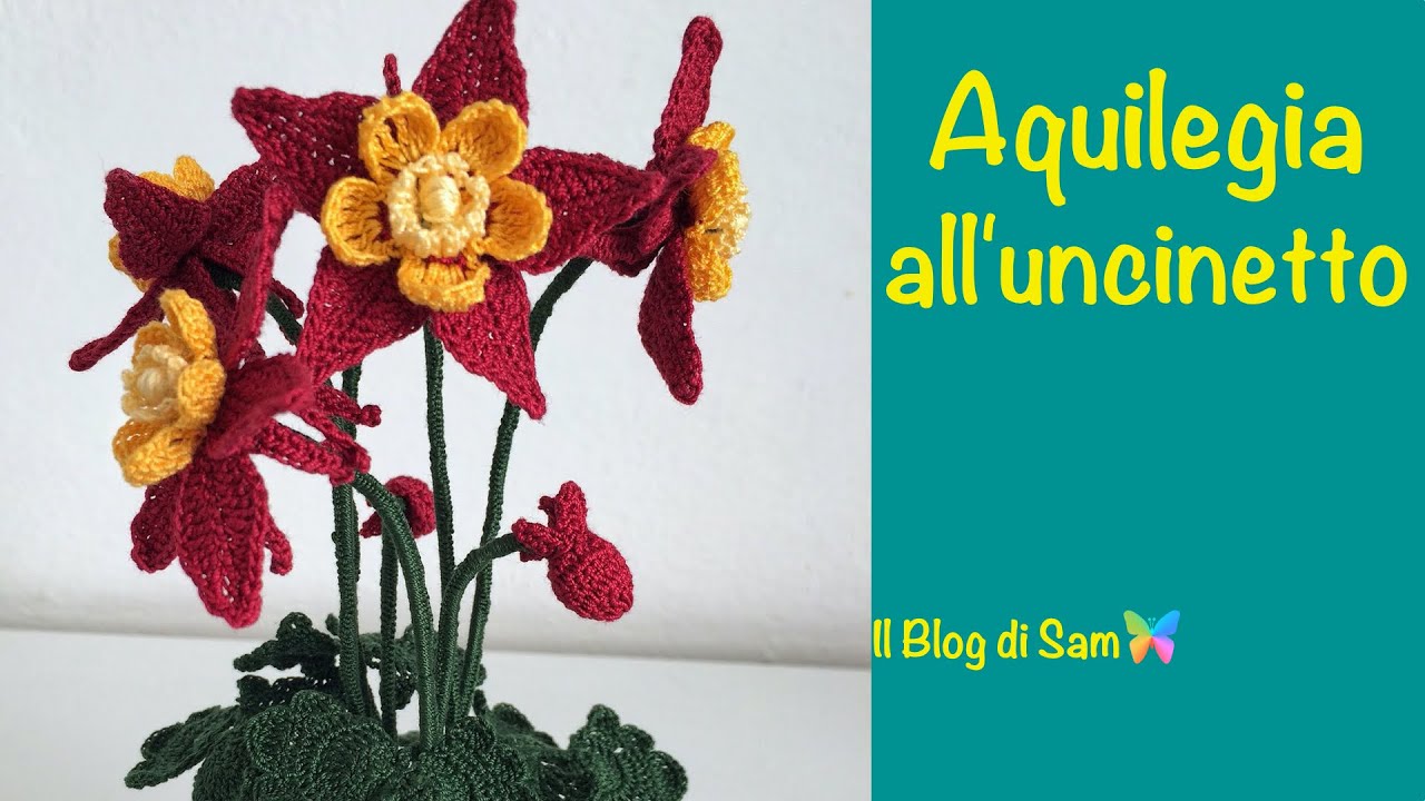Spiegazione dell'Aquilegia all'uncinetto