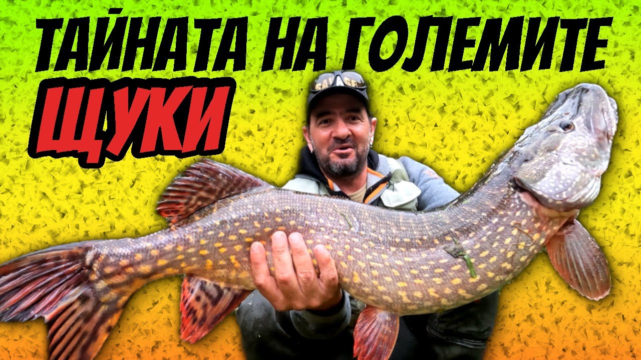 7 КЛЮЧА за УСПЕХ в РИБОЛОВА НА ЩУКА!