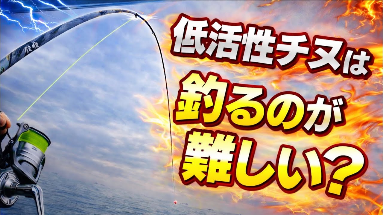 寒チヌは勝手に釣れてくれるってどーゆーこと？