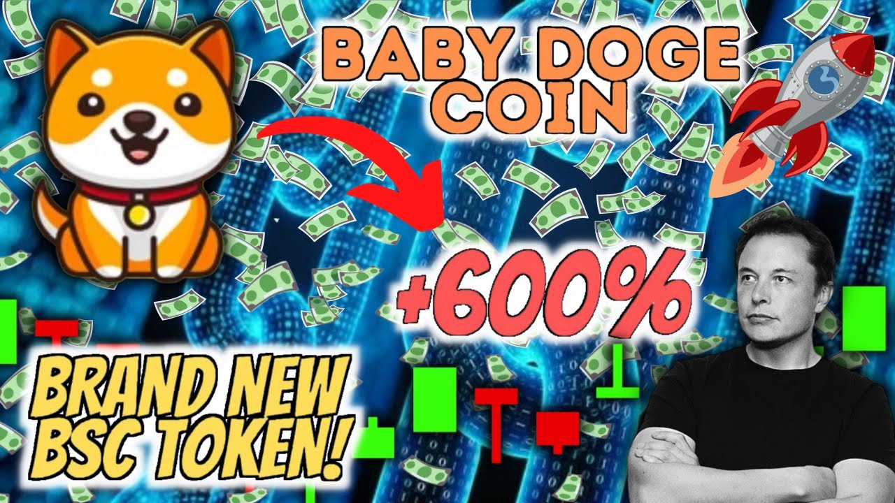 BABY DOGE COIN Update , New BSC Coin ! How to Buy BabyDoge Token , Tokenomics , Pricing , & Analysis