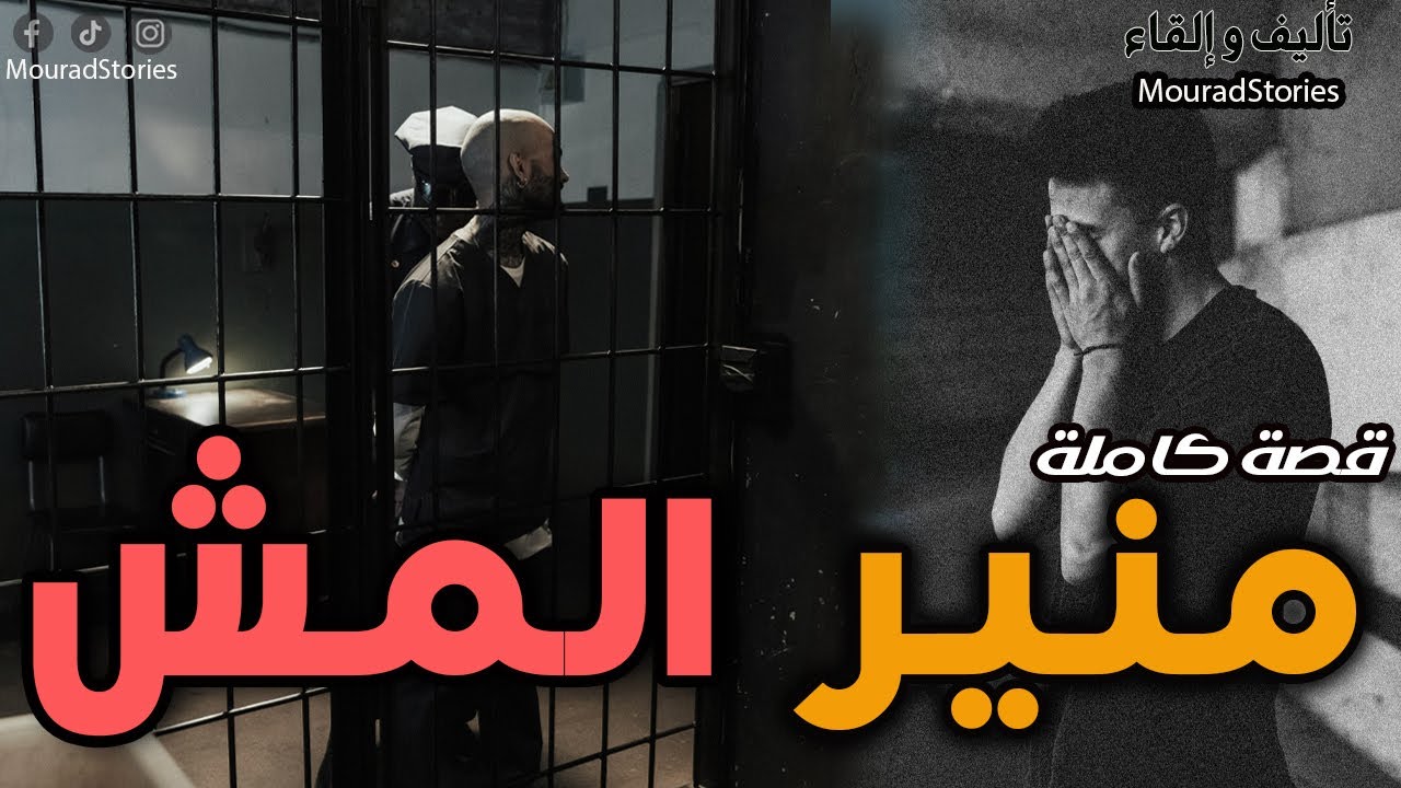 قصة ولد الزنقة و مافيا المش------------قصة كاملة-------