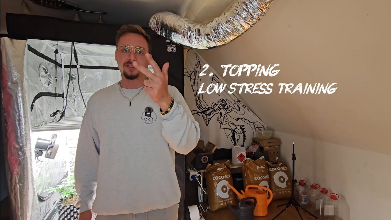 🌱 Pflanzen-Training Woche 5 &ndash; Main-Lining geht weiter!