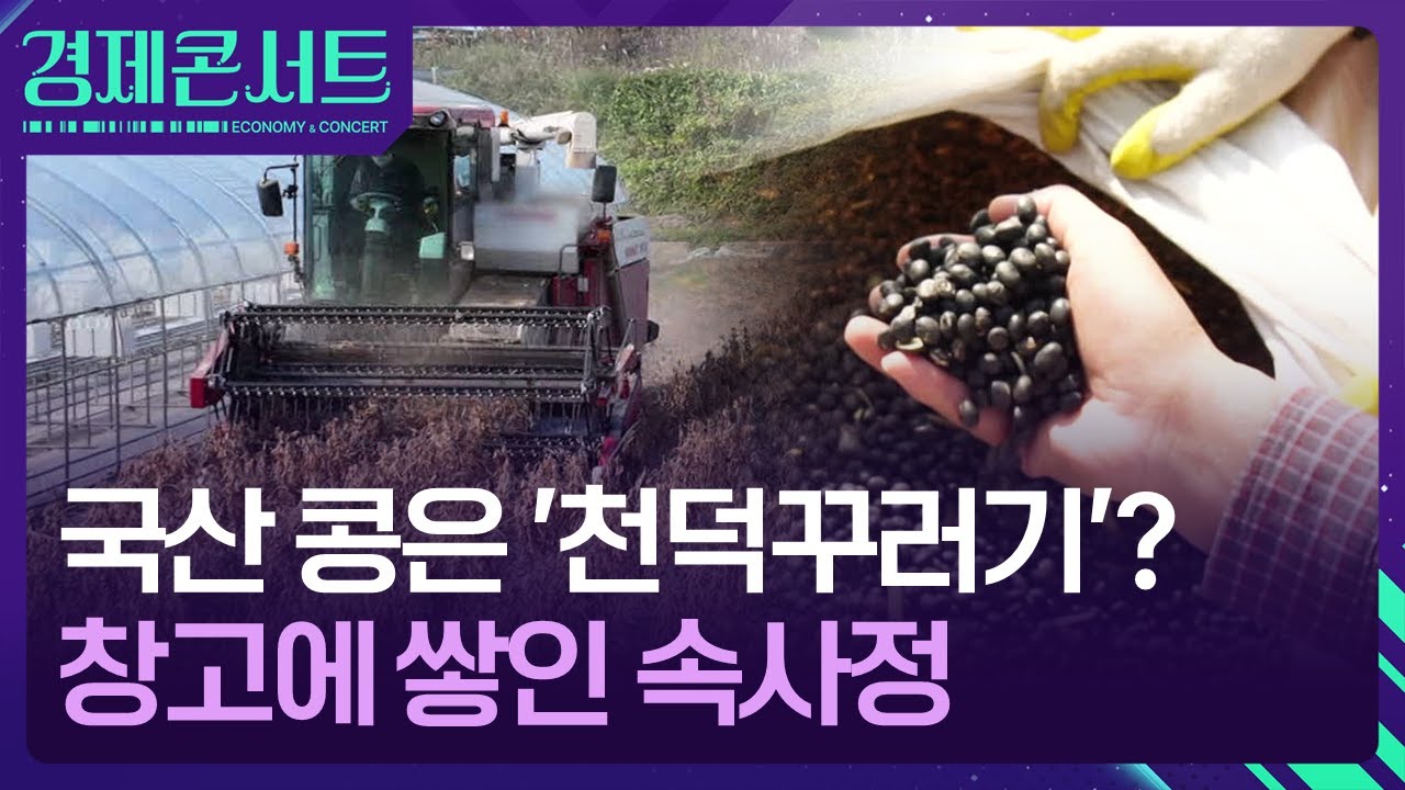 &ldquo;남아도는 천덕꾸러기?&rdquo;&hellip;국산 콩, 창고에 쌓인 이유는 [경제콘서트] / KBS  2025.12.24.