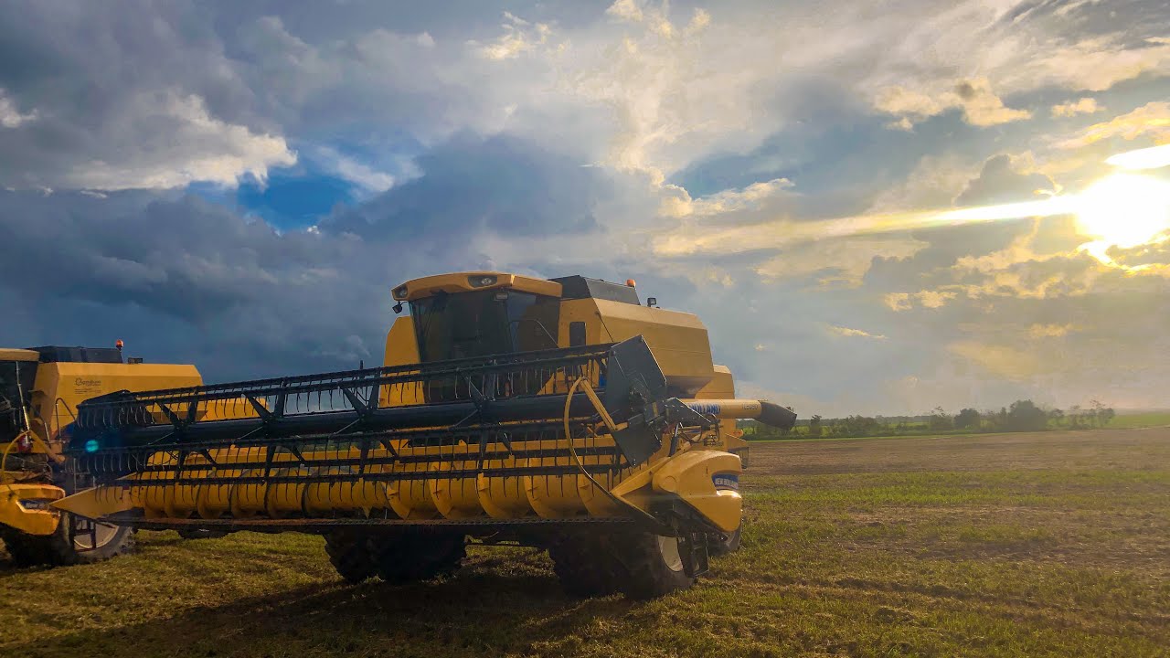 COLHENDO SOJA DE TC 5090 NO MATO GROSSO
