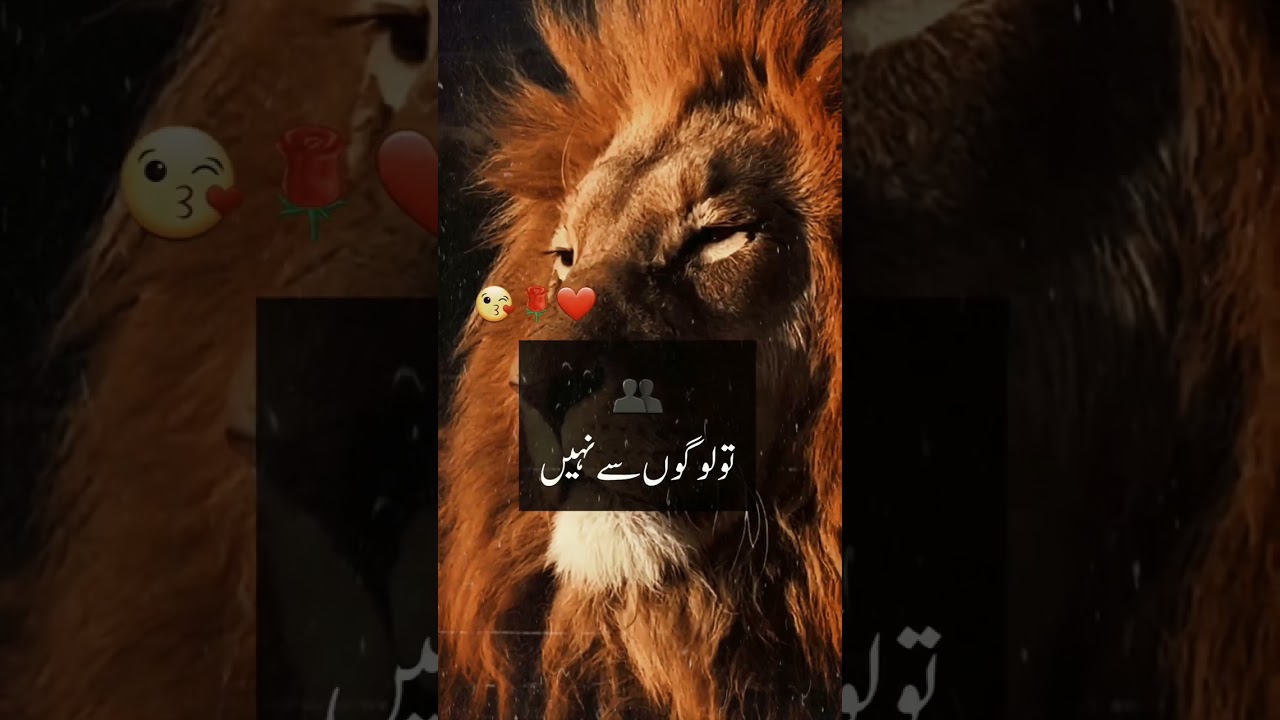 zindagi me agar sakoon chahte ho💖|poetry status|#viral #youtubeshorts #poetrystatus #music