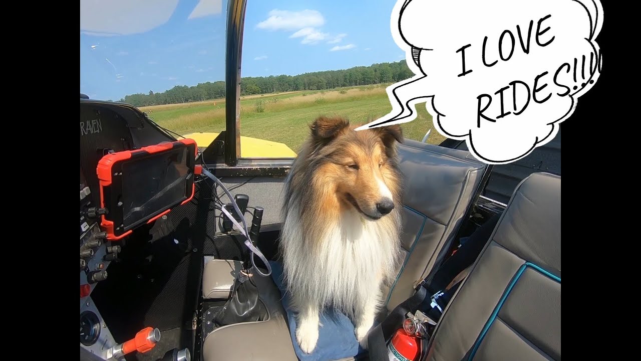 Loki goes for his first flight in my RV6