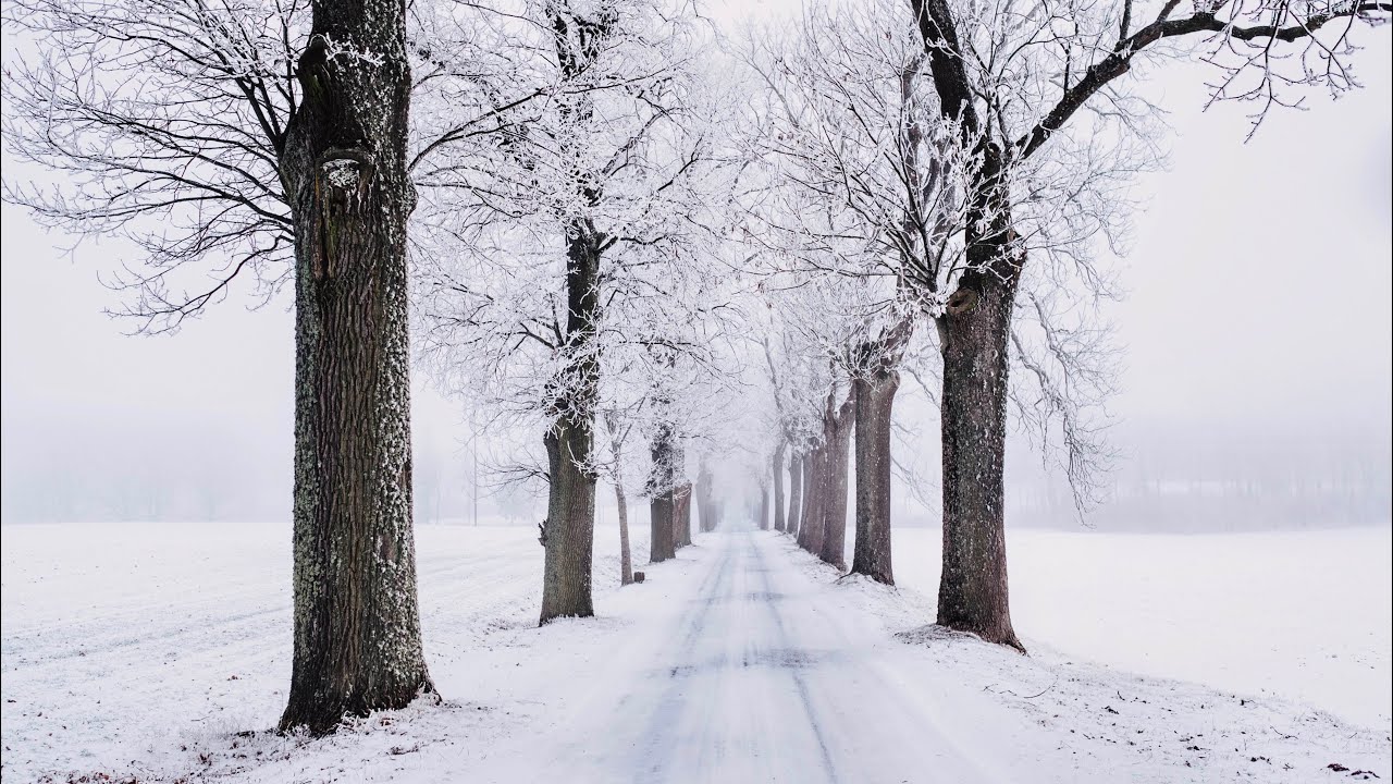 2 Hours of Blizzard Snow Storm Video ❄️ (NO SOUND) - Relaxing Video - HD 1080p