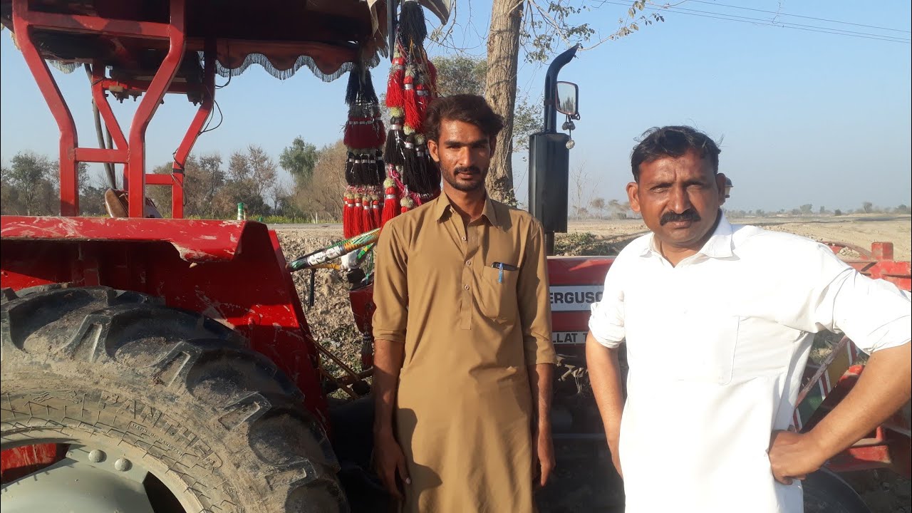 Mf 260 tractor ki performance makki k rager per...