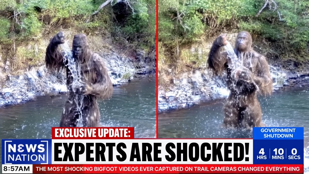 Самые шокирующие видео с Бигфутом, когда-либо снятые на фотоловушки, изменили всё.