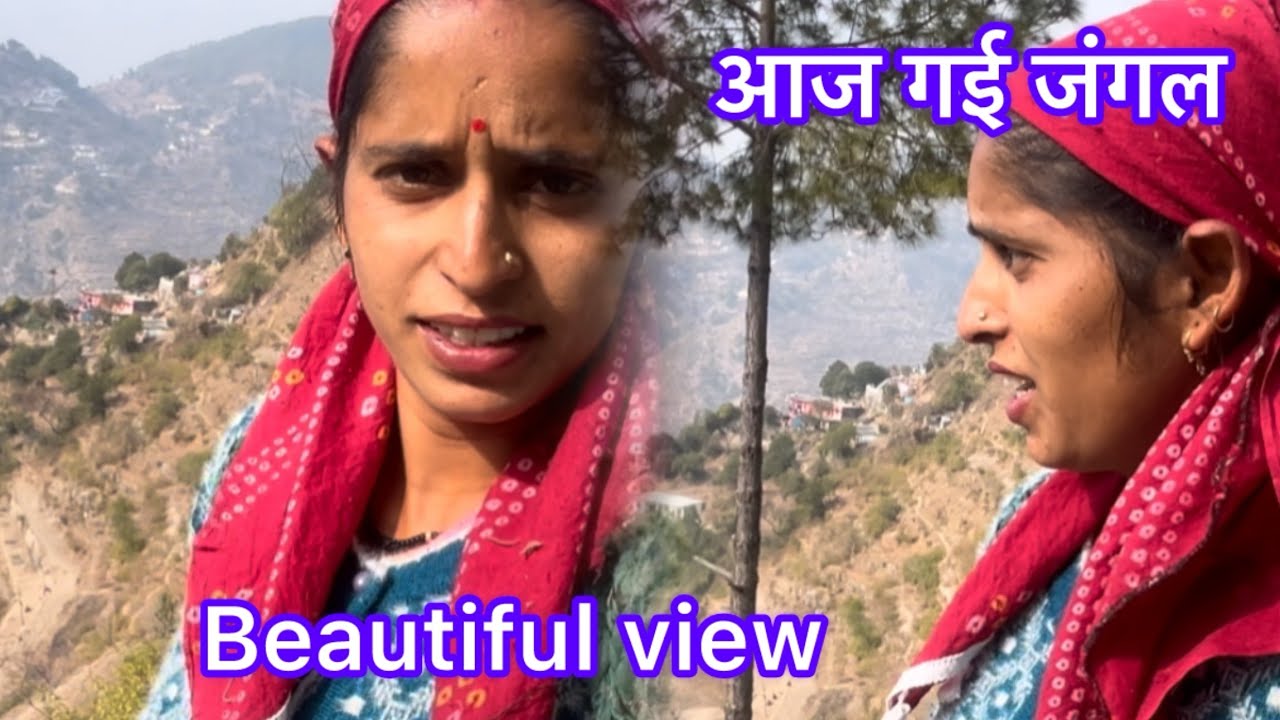 आज गई जंगल #ब्यूटीफ़ #phadilifestyle #dailyvideo #vlog #garhwalivlogger 