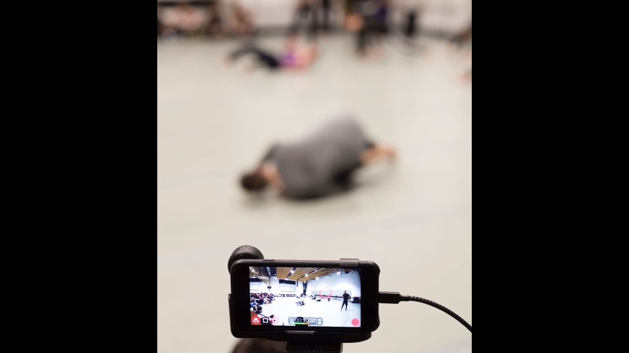 Semestralni ispit Instituta za umetničku igru 2016