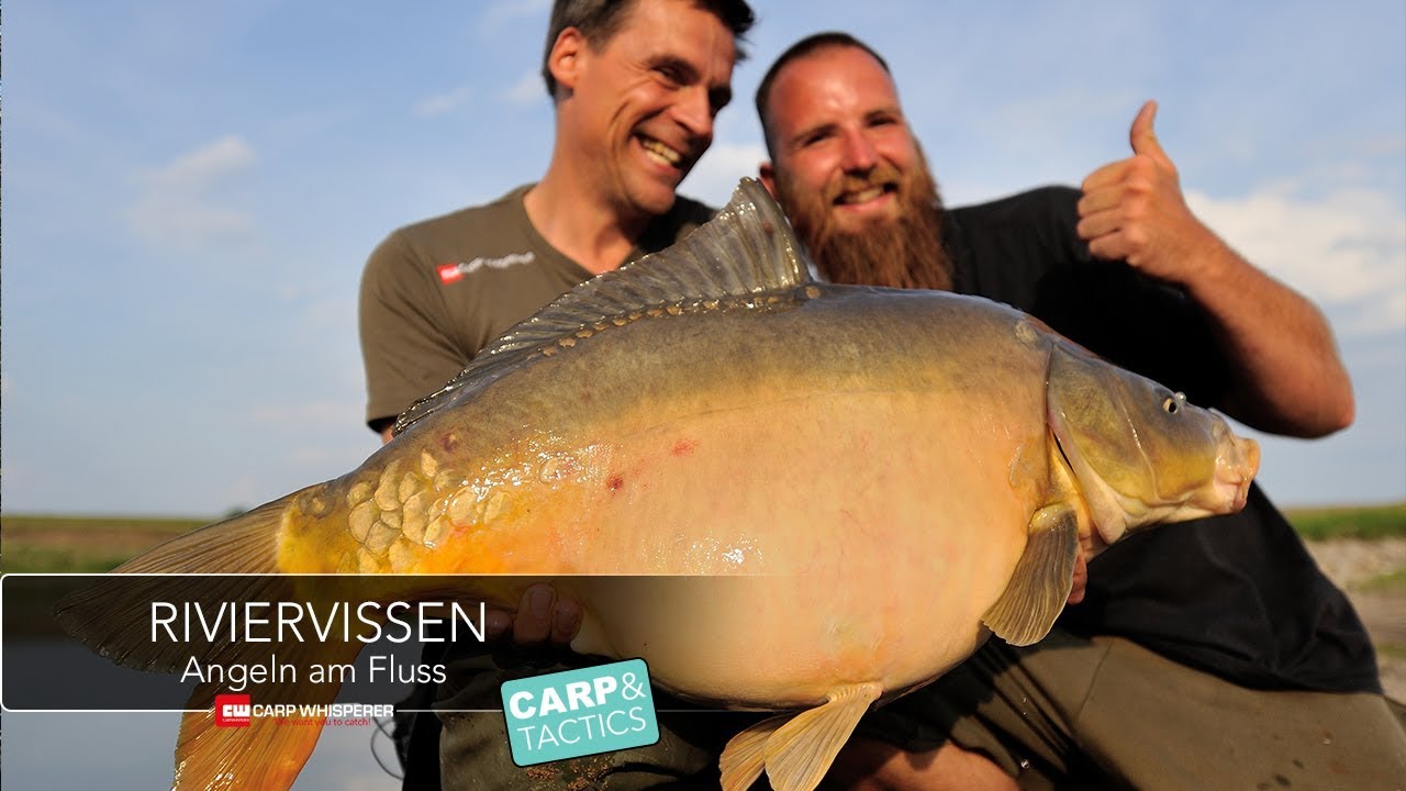Riviervissen op karper, karpfen angeln am Fluss