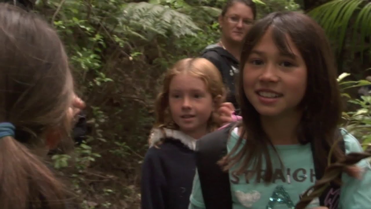 Meet the Locals: Kaitoke hot springs