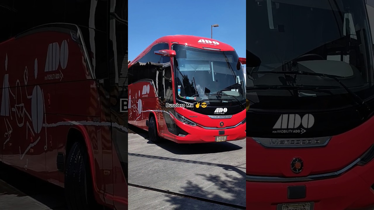 Nuevo Marcopolo Paradiso 1350 G8 Scania Ado 🔴 #ado #bus #irizar #shorts #travel