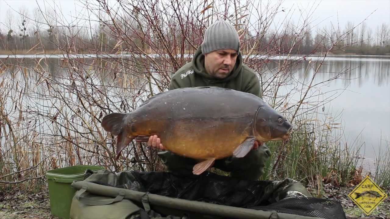 CARP FISHING IN WINTER AT ABBEY LAKES