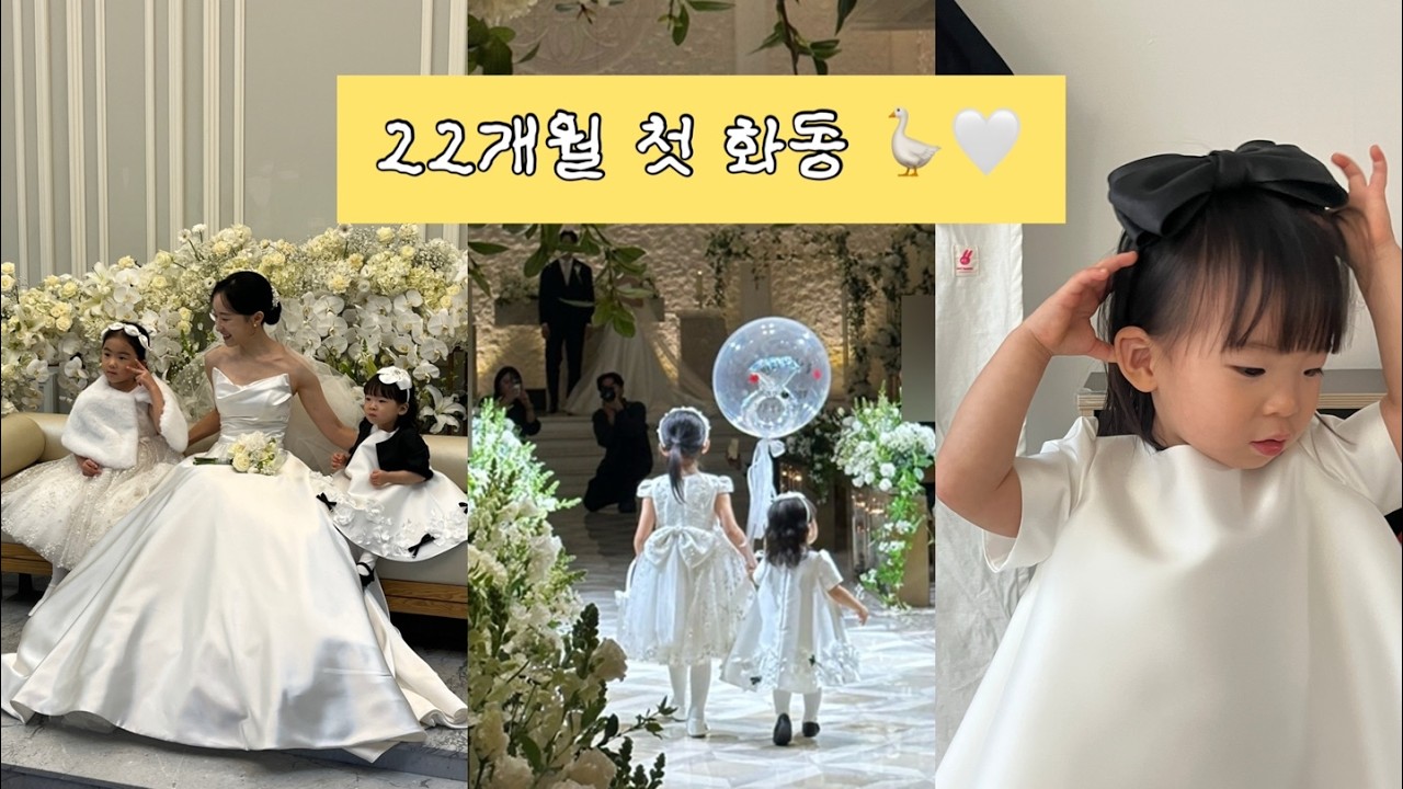 𝚟𝚕𝚘𝚐* 22개월 첫 화동 (화동드레스선택/서울아만티호텔예식/혼주결혼식)