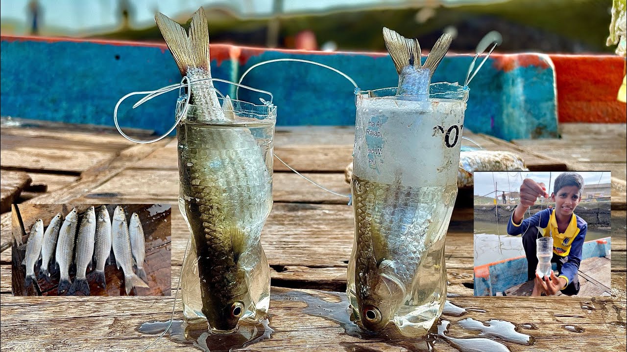 Plastic Bottle fish trap ( easy and effective) || @bablusolkar