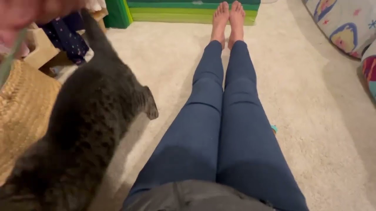 How to use the wand toy