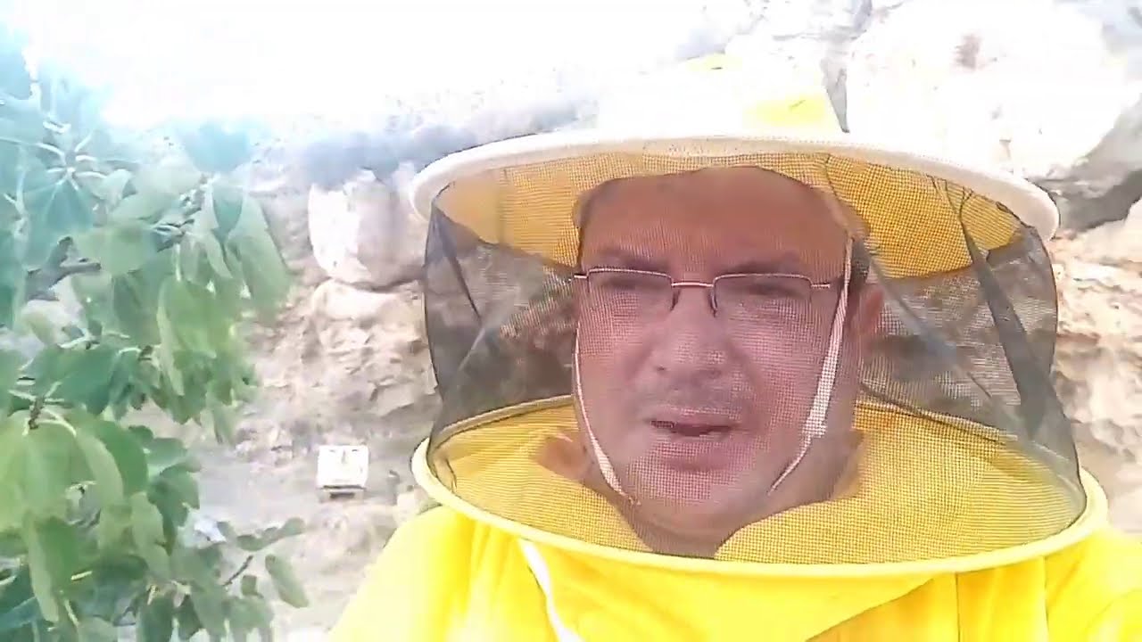 Το πρώτο μου τριπλοκυψελιδιο στο βουνό τα υπέρ και τα κατά.