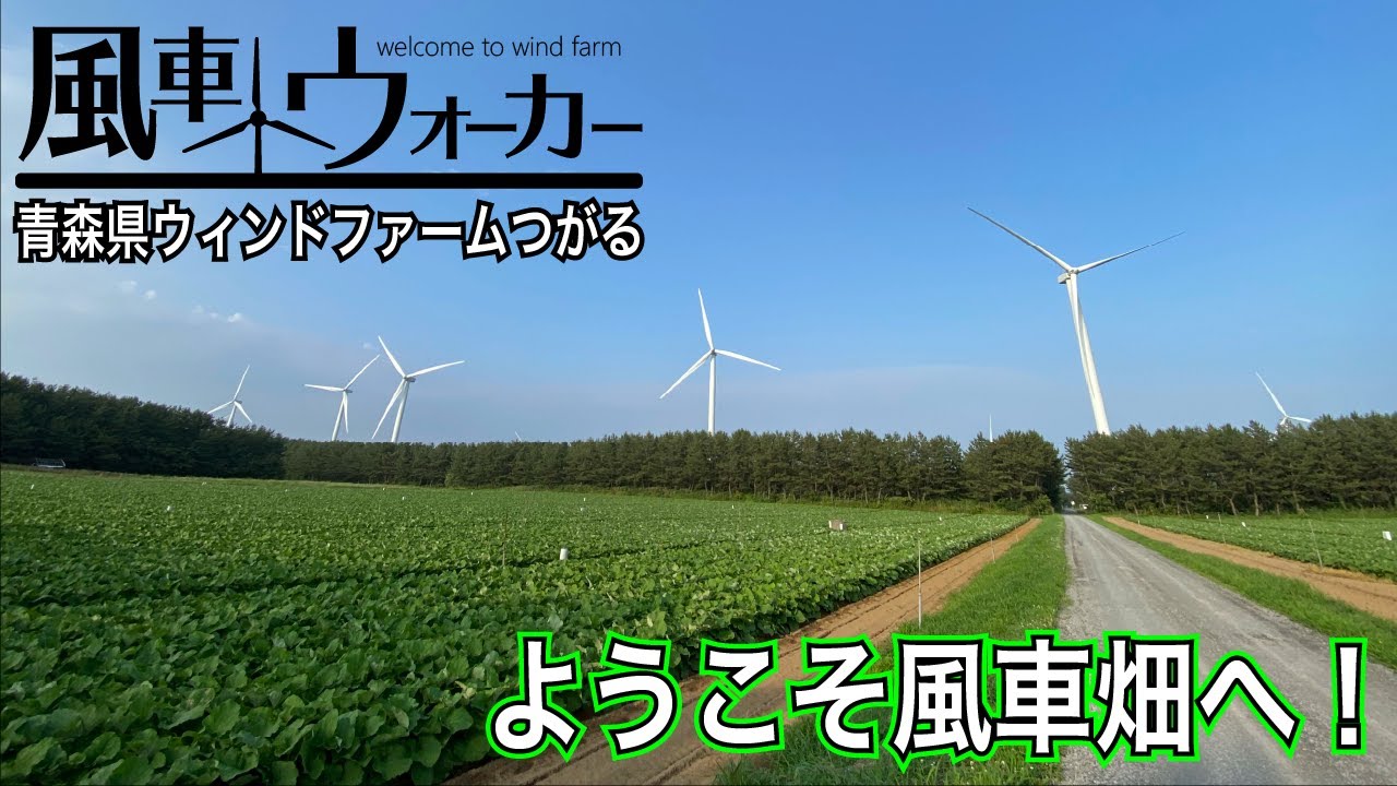 青森つがる市に広がる風車畑「ウィンドファームつがる」を攻める！【風車ウォーカー青森編2023#2 】